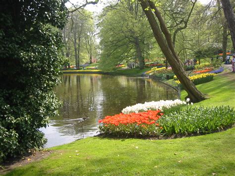 Keukenhof Park The Netherlands picture, Keukenhof Park The Netherlands photo