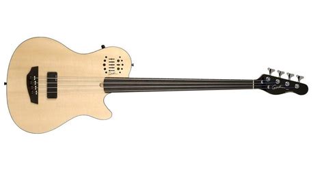 Fretless Acoustic Bass Guitars For Everyone - Bass Guitar Hub