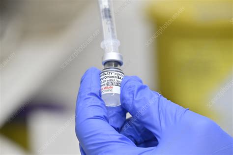 Preparing 2023 Covid-19 vaccine - Stock Image - C058/5755 - Science ...