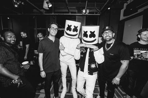 Shawn Mendes Appeared Under Marshmello's Signature Mask at the 2018 iHeart Radio MMVAs