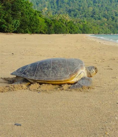 Tanjung Datu National Park 4D3N Tour | Borneo Adventure