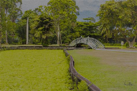 Botanical Gardens Guyana on Behance