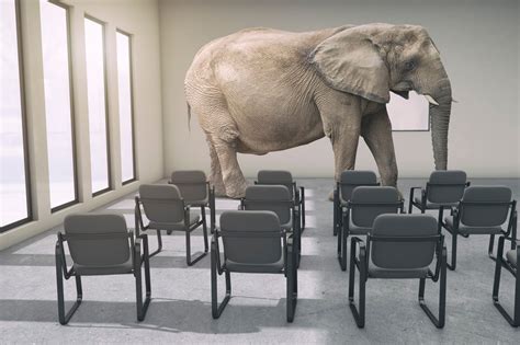 Elephant in the Room: Instruction in Higher Education - Continuous Learner