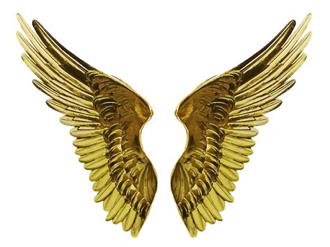 Angel Gold Wings PNG Cutout Image (Isolated-Objects) | Textures for Photoshop