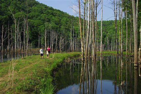 West Virginia State Parks Celebrate National Trails Day June 7, 2014