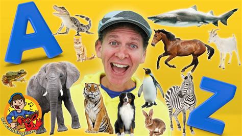 A to Z Animals with Matt | Learn 50 Wild Animals A to Z | Dream English Kids - YouTube