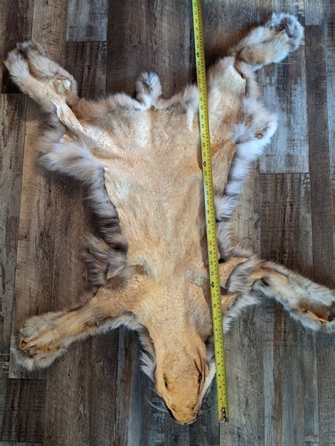 Lynx fur Canada | Etsy