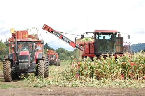 Corn Harvest | Tractors, Midwest, Farm