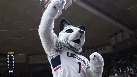 UConn Huskies Roundup - 11/13/16 - The UConn Blog