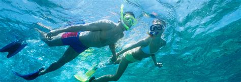 Aruba Snorkeling Guide For April 2024 | Island Life Caribbean