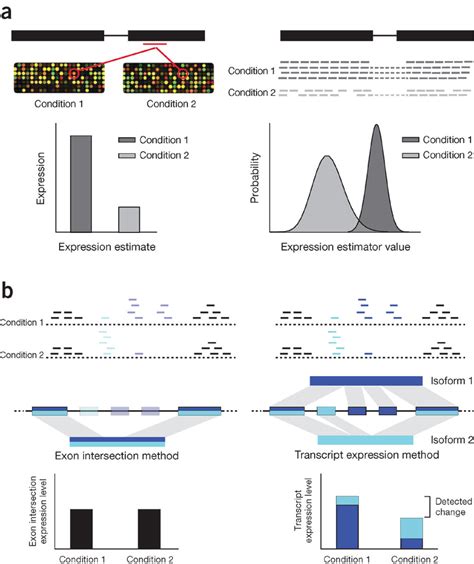 Overview of RNA-seq differential expression analysis.(a) Expression... | Download Scientific Diagram