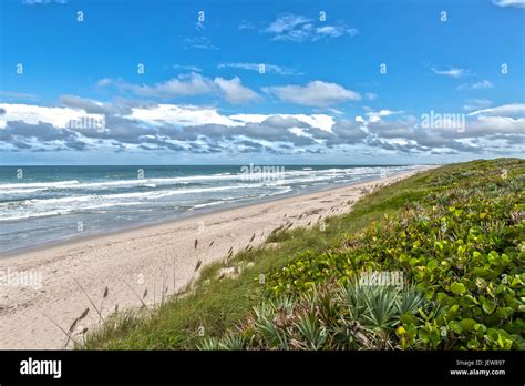 Beach at Canaveral National Seashore at Cape Canaveral Florida Stock ...