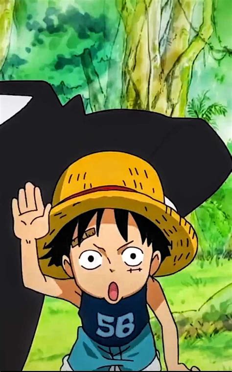 Baby luffy HD phone wallpaper | Pxfuel