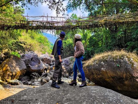 7 Reasons why you should trek to the Double Decker Root Bridge in ...