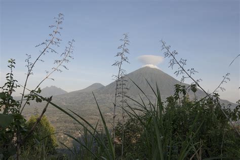 Virunga National Park - Safari Africa