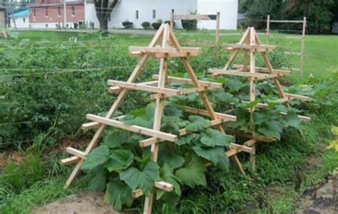 squash trellis so they don't take over your garden! | Vertical ...