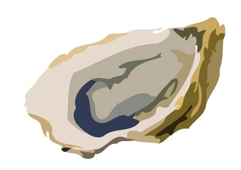 Clip Art - Roman Food Oyster | Clipart Panda - Free Clipart Images