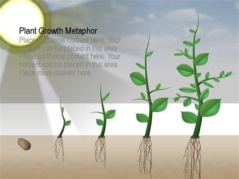 Free infographic templates | Microsoft Create | Plant growth, Free infographic templates, Winter ...