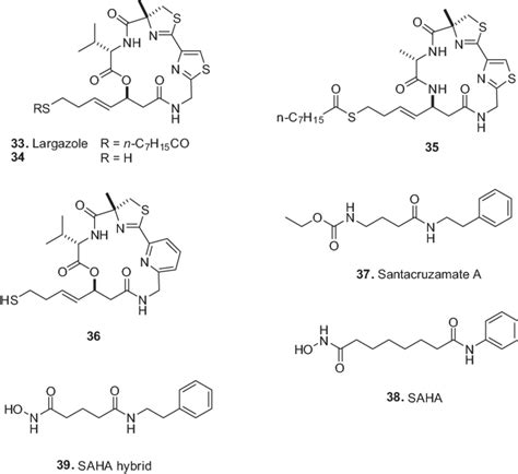 6 Natural and synthetic histone deacetylase inhibitors | Download Scientific Diagram