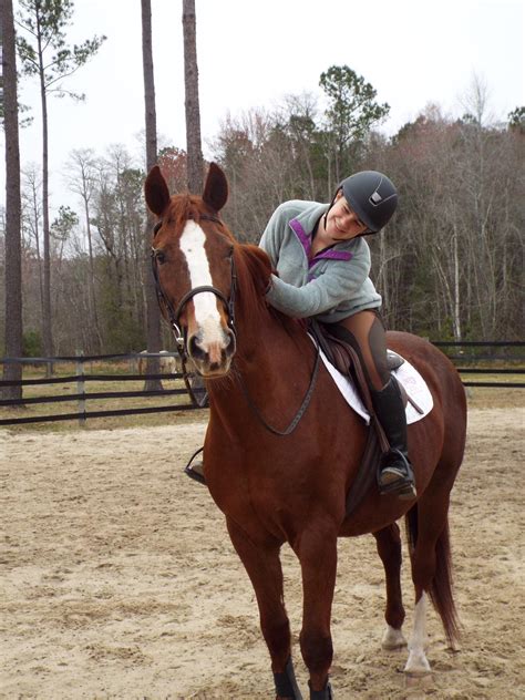 horses & riding: #horses - #Any one else have bad riding days recently? Yesterday got bucked off ...