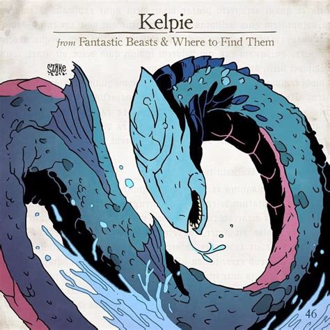 Kelpie | Wiki | Fantastic Beasts Amino