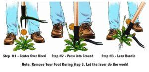 Crabgrass Removal Tool [3 Best Weed Pullers for Crabgrass] | Lawn Model