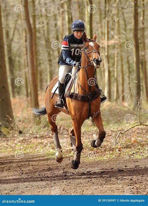 Equestrian Sport,galloping Horse Editorial Photography - Image of equestrain, fitness: 39158997