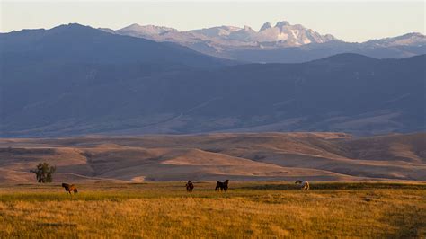 Explore Sheridan Wyoming and The Bighorn Mountains