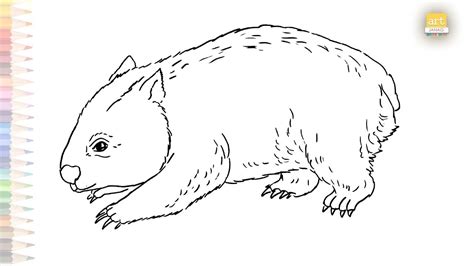 Cute Wombat Drawing