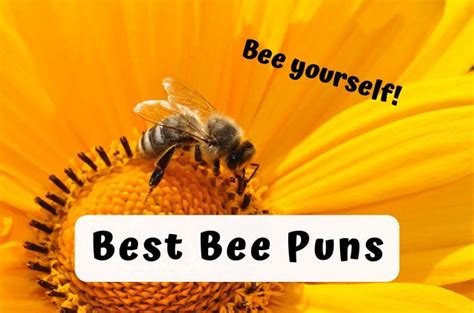 153 Best Bee Puns That Are Un-bee-lievably Bee-autiful!