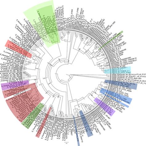 Pangenome tree of Salmonella enterica subspecies enterica serovars with ...