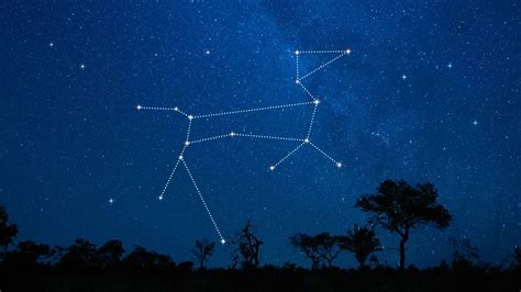 Canis Major Constellation: Stars, Mythology, How to Find | Canis Major ...