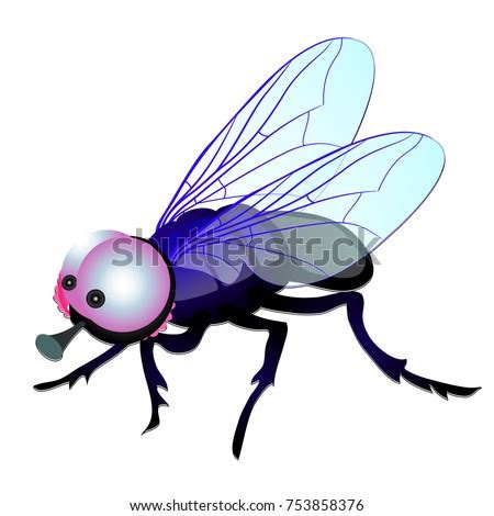 Funny Fly Big Eyes Isolated On Stock Vector 753858376 - Shutterstock