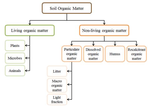 6: Components of soil organic matter (adapted from Walcott et al. (2003 )). | Download ...