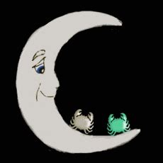 Moon sign compatibility - Cancer with Cancer (Zodiac Sign)