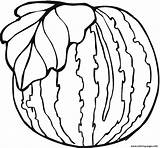 Healthy Watermelon Fruit Sd5b3 Coloring page Printable sketch template