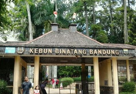 Kebun Binatang Bandung | Daftar Tempat Wisata Lengkap