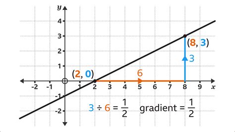 Double Line Graph Biology