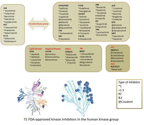 Introduction to Marketed Kinase Inhibitors