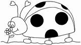 Cute Ladybug Coloring Pages sketch template