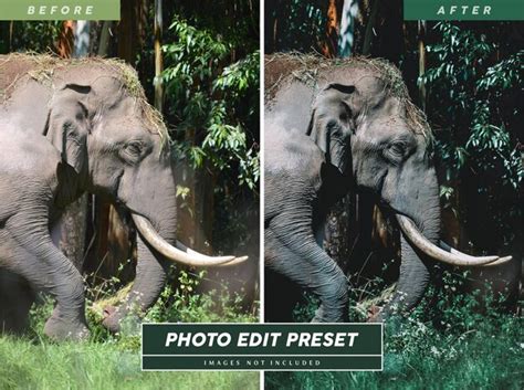 Premium PSD | Editable moody green photo editing preset filter for wildlife photographers ...