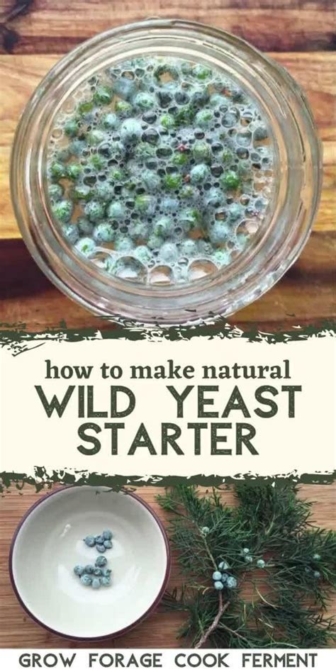 How to Make a Wild Yeast Starter [Video] | Recipe [Video] | Wild yeast starter, Wild food ...