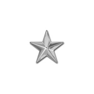 General 1 star cap badge - WWII Then and Now pictures Shop