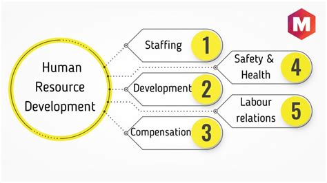 Human Resource Development or HRD | Marketing91