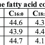 The fatty acid composition of fats in instant noodles. | Download Scientific Diagram