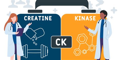 Simply Stated: The Creatine Kinase Test - Quest | Muscular Dystrophy Association