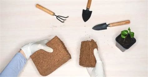 Coco Coir Brick: The Natural Path to Lush and Healthy Plants - Nusagro