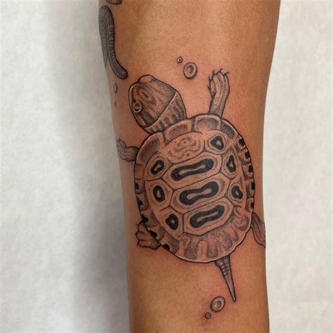 Discover 70+ box turtle tattoo - in.coedo.com.vn