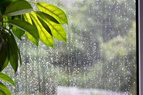 Raindrops on the Window Pane. it`s Raining Outside. Rainy Autumn Day Stock Photo - Image of ...