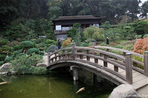 Fall color at Hakone Gardens, Saratoga | Tipsy from the TRIP